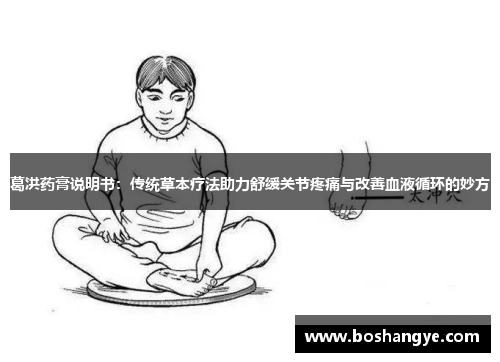 葛洪药膏说明书：传统草本疗法助力舒缓关节疼痛与改善血液循环的妙方