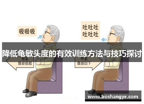 降低龟敏头度的有效训练方法与技巧探讨