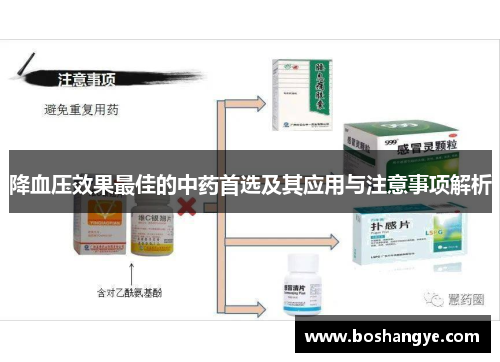 降血压效果最佳的中药首选及其应用与注意事项解析